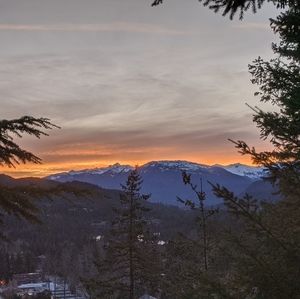 Meet your Posher, Carlos